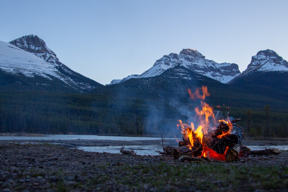 10+ Brain Fire Phlegm Tips To Clear Your Mind
