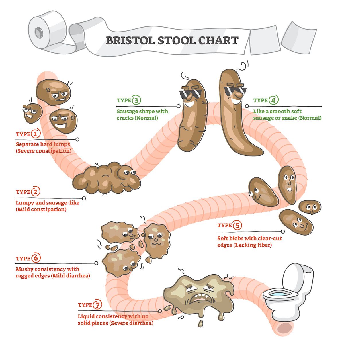 10 Bristol Stool Chart Kids Tips For Healthy Bowels