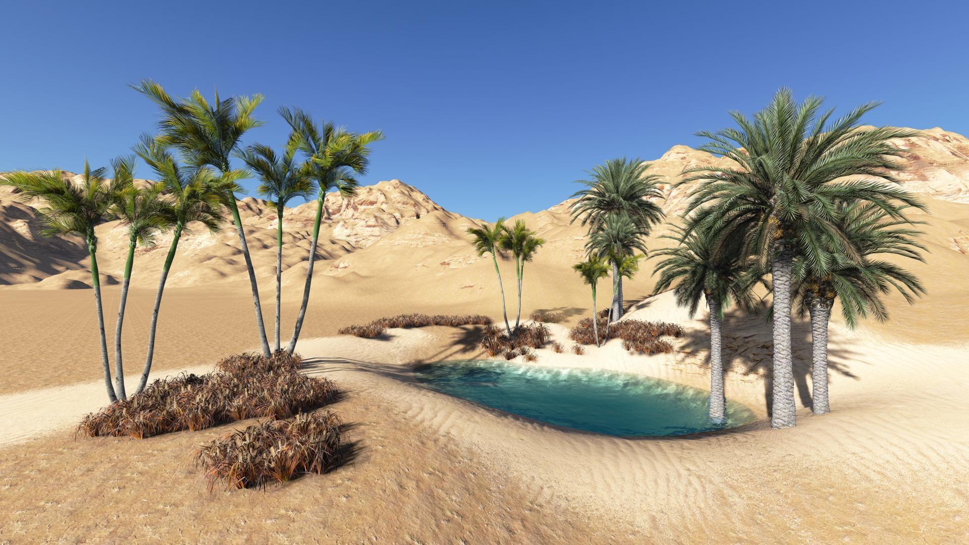 10 Desert River Oasis Tips For Profit