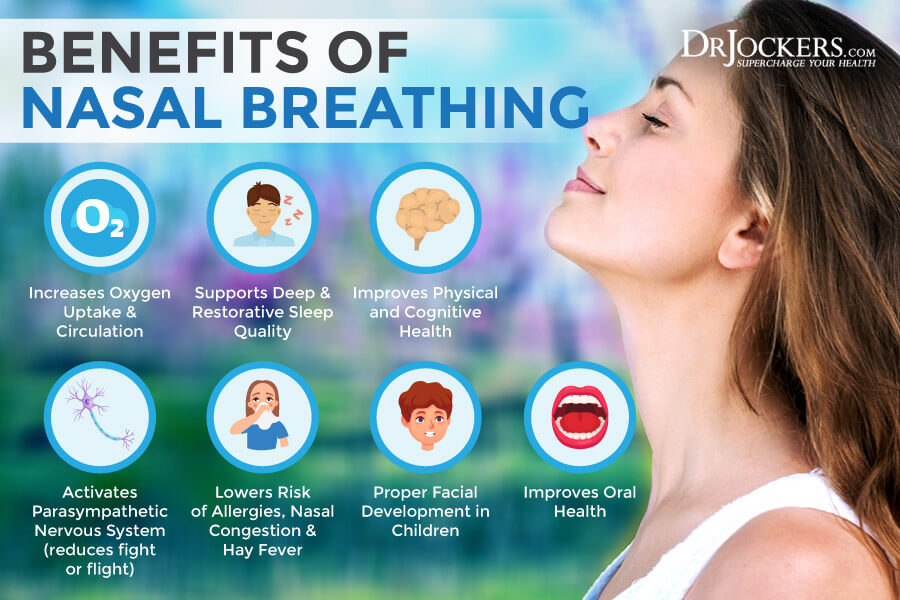 10+ Dog Breathing Tips For Better Health