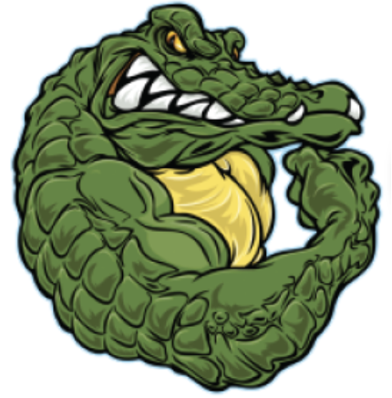 10 Gators Colors You Need To Know