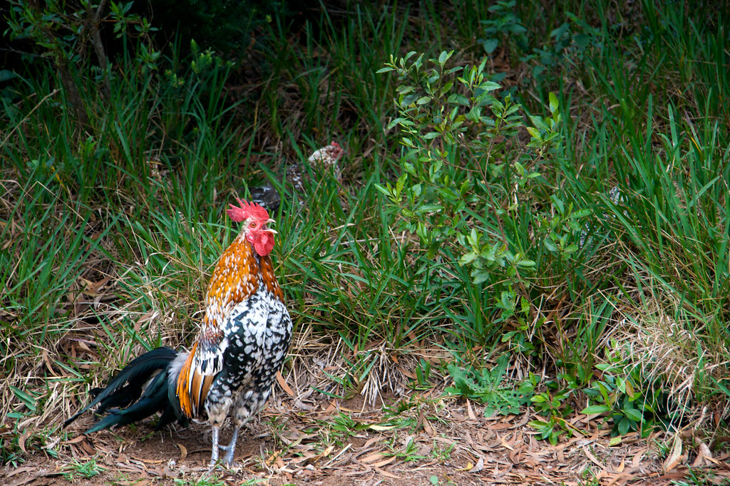 10+ Huge Cock Photos For Inspiration