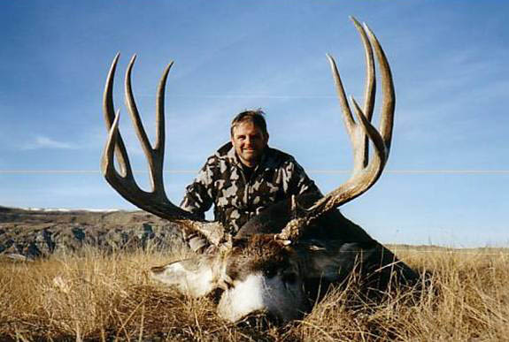 10+ Mule Deer Secrets For Successful Hunts