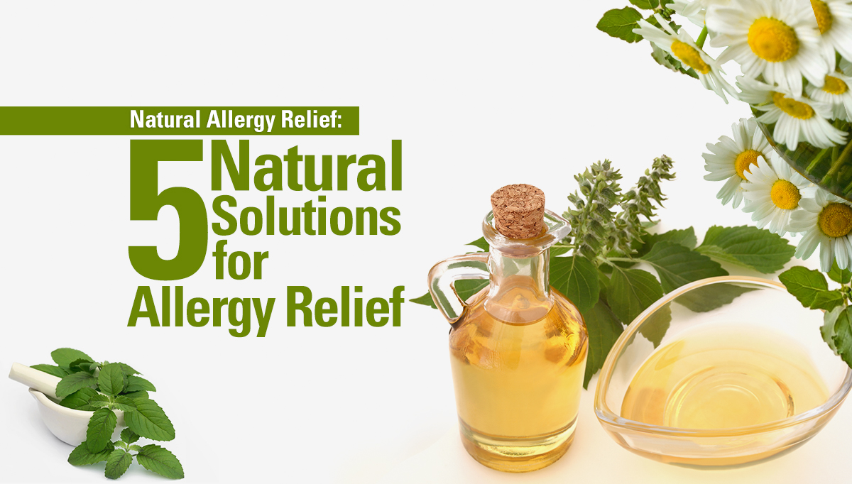 10+ Natural Allergy Relief Dogs Solutions