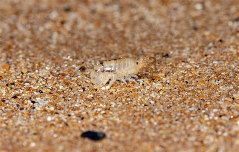 10+ Reasons To Avoid Sand Successfully