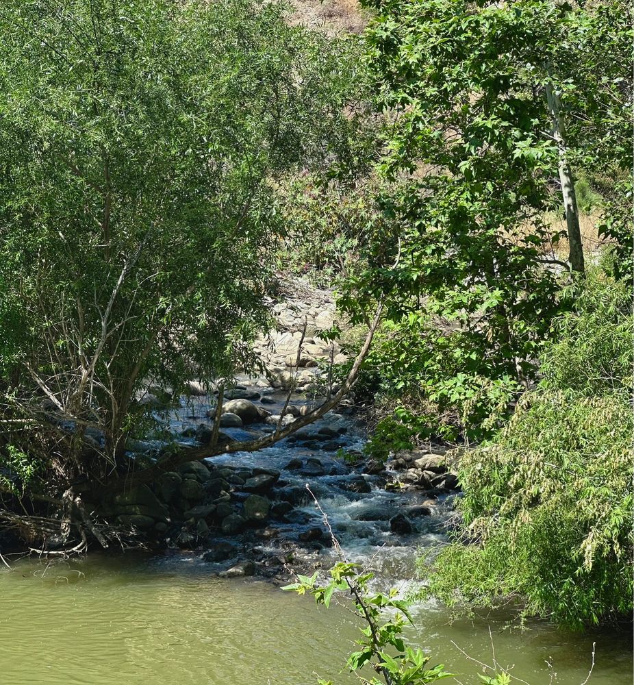 10+ San Gabriel Canyon Secrets For Best Views