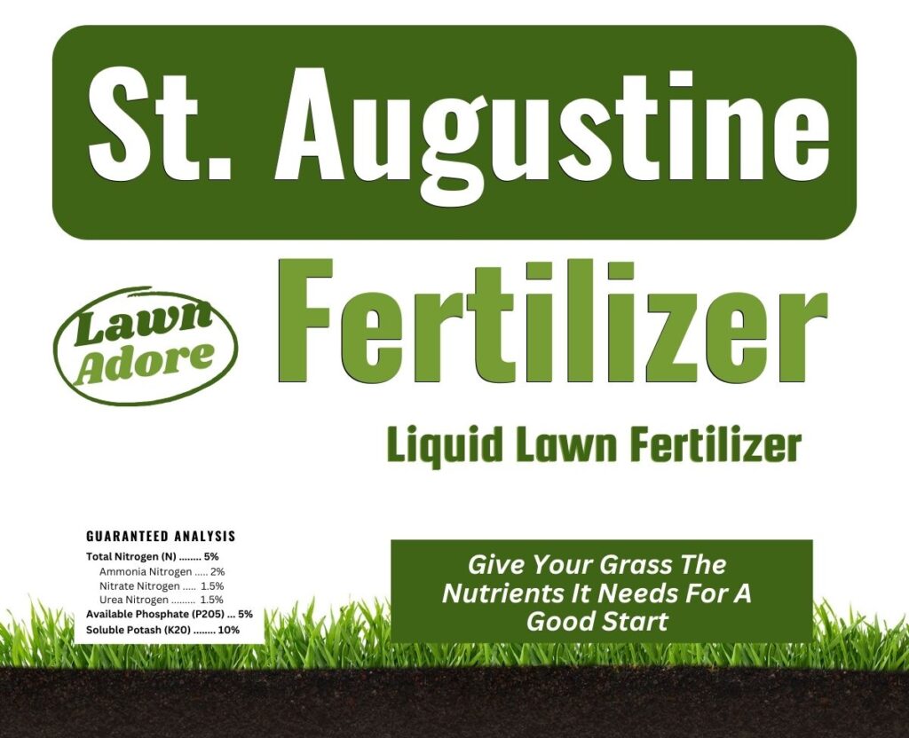 10 St Augustine Grass Fall Fertilizer Tips 10 St Augustine Grass Fall Fertilizer Tips