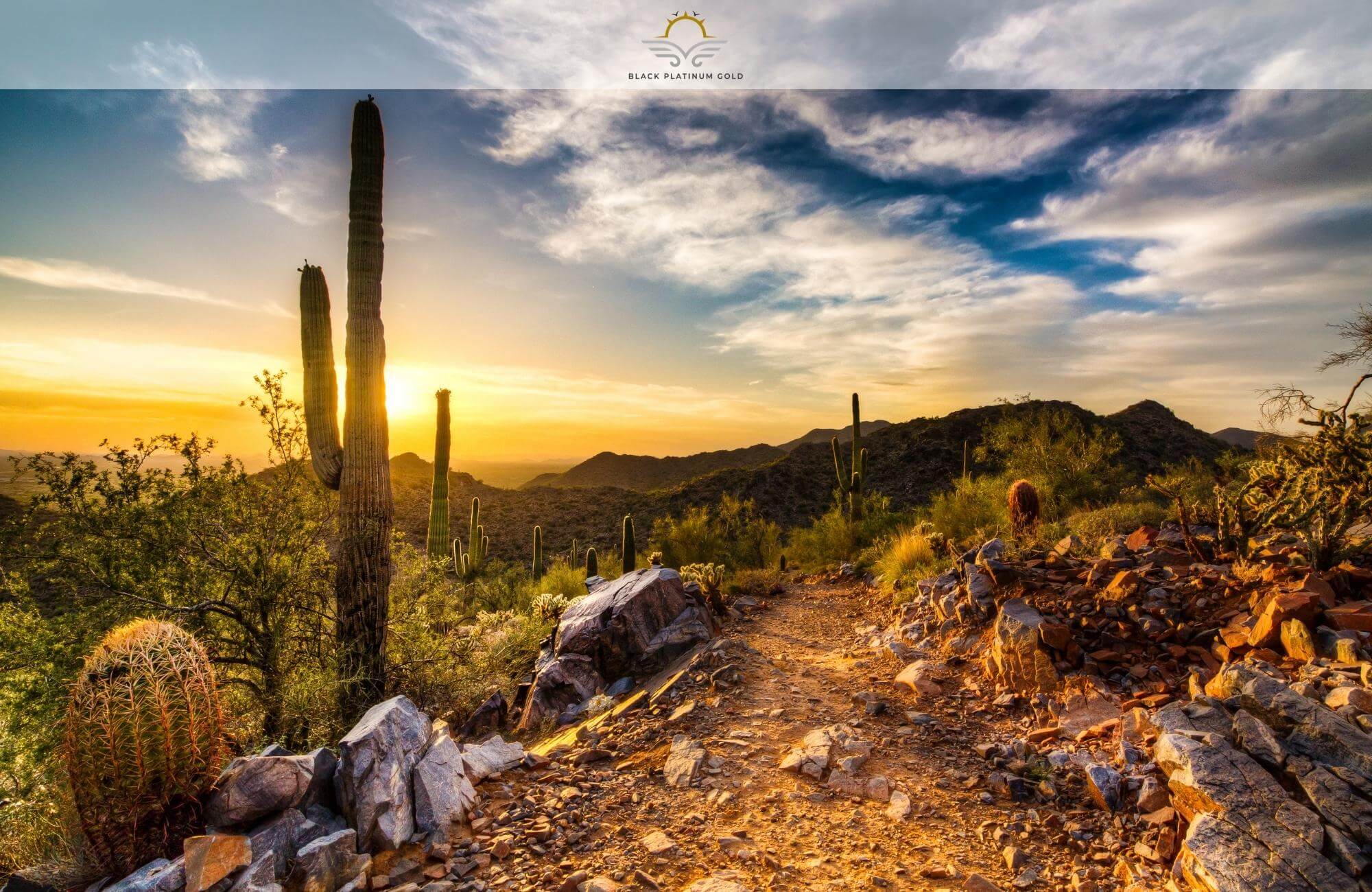 10 Tucson Altitude Facts To Know Before Visiting