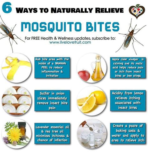 10+ Ways To Treat Beetle Bites Fast