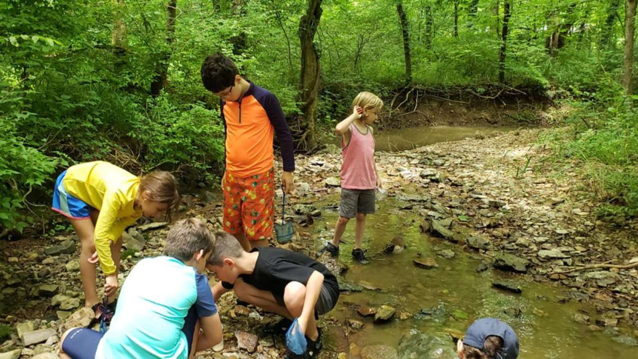 12+ Black River Secrets For A Perfect Getaway