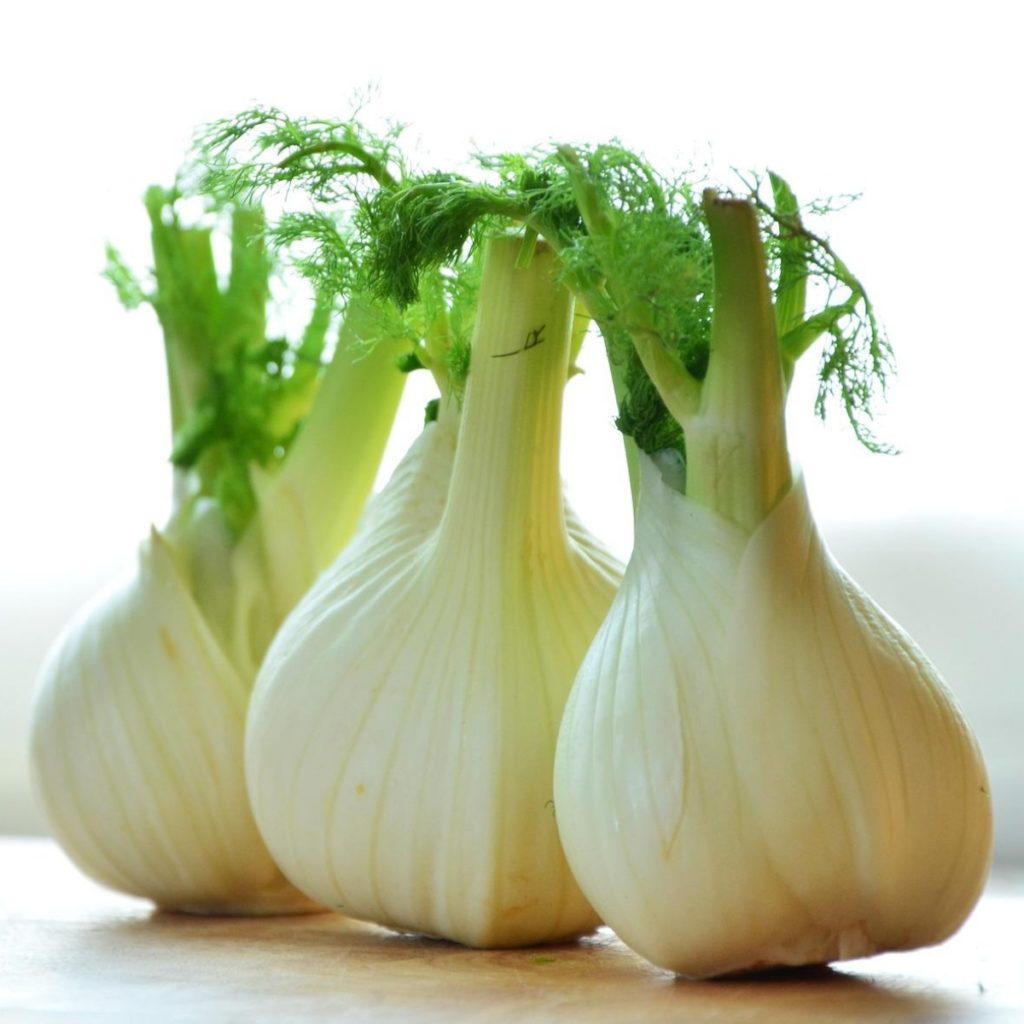 12 Dog Fennel Uses That Promote Health