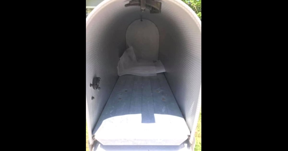 12 Dryer Sheet Mailbox Hacks
