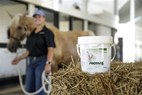 12 Epm Horse Treatment Tips For Faster Recovery 12 Epm Horse Treatment Tips For Faster Recovery