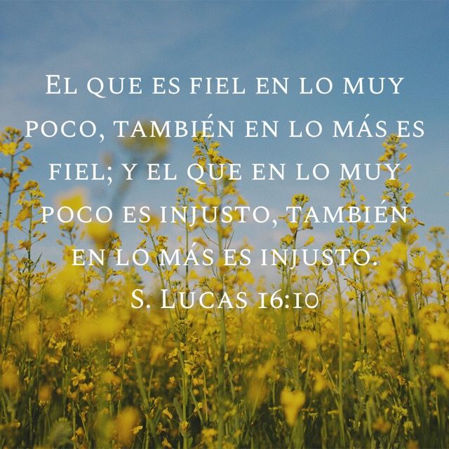 12 Fiel En Lo Poco Secrets To Success