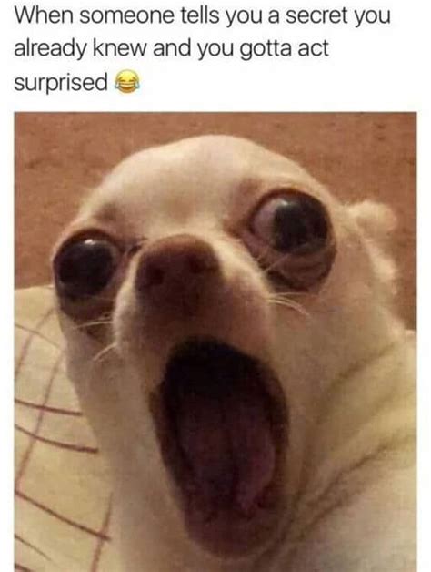 12 Fu Meme Secrets To Make You Laugh