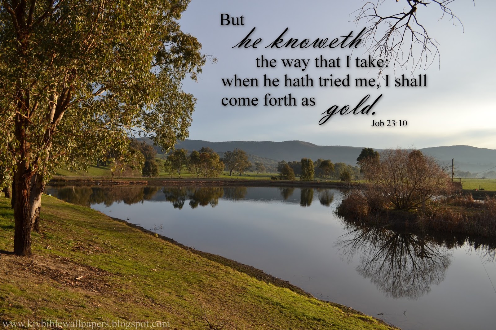 12+ Kjv Bible Verses To Guide Your Fast