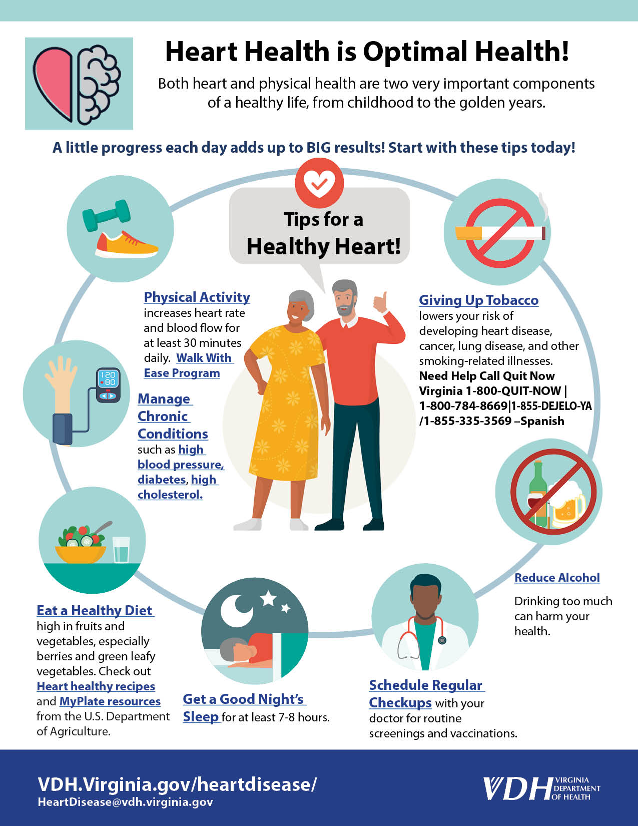 12+ Lcx Artery Heart Tips To Reduce Risk