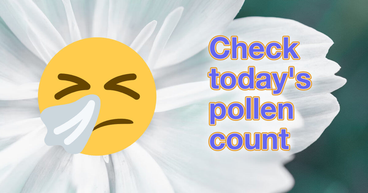 12 Nashville Pollen Count Alerts For Relief