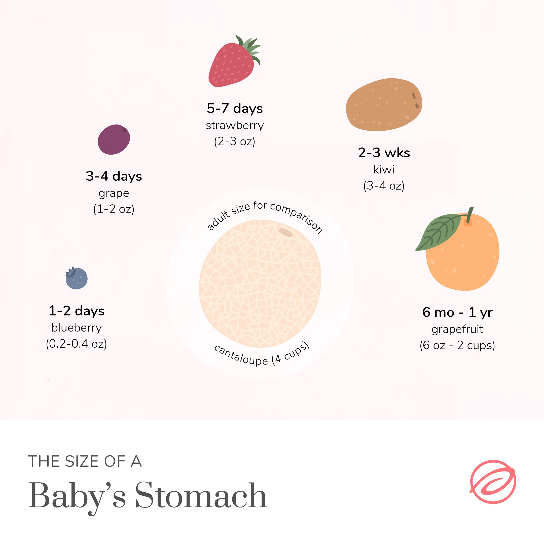 12+ Newborn Stomach Size Secrets For Parents