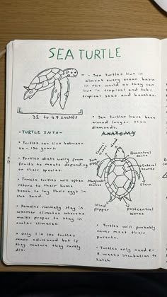 12 Stanford Marine Biology Facts To Boost Knowledge