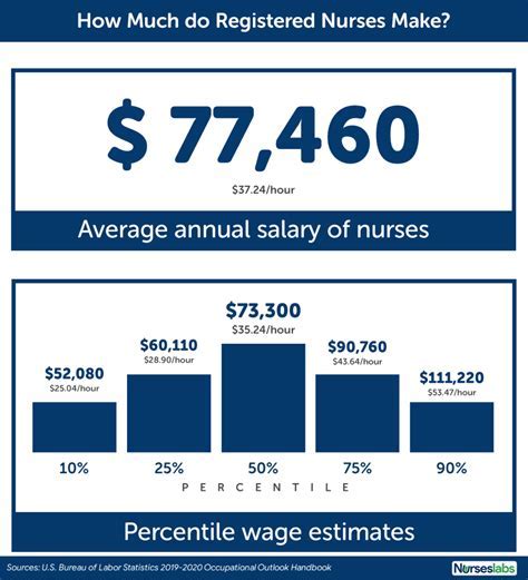 12 Vet Nurse Salary Secrets Revealed 12 Vet Nurse Salary Secrets Revealed