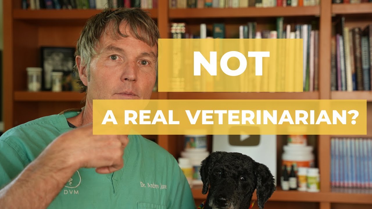 12 Veterinarian Secrets To Earn Top Pay 12 Veterinarian Secrets To Earn Top Pay