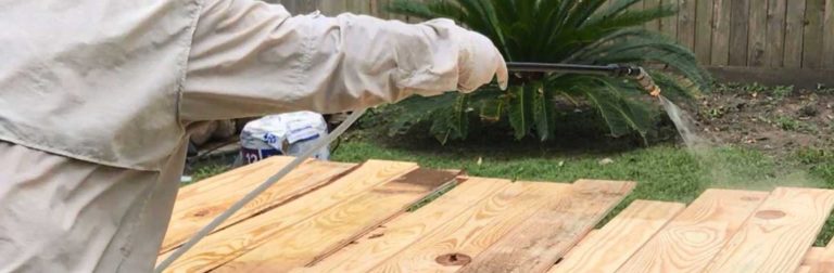 12 Wood Boring Beetles Treatment Options