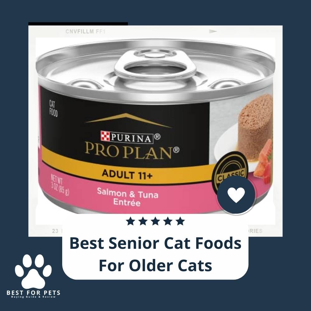 15 Best Dry Cat Foods For Senior Cats Expert Recommendations For 15 Best Dry Cat Foods For Senior Cats Expert Recommendations For