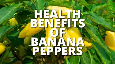 8 Banana Pepper Benefits That Boost Health