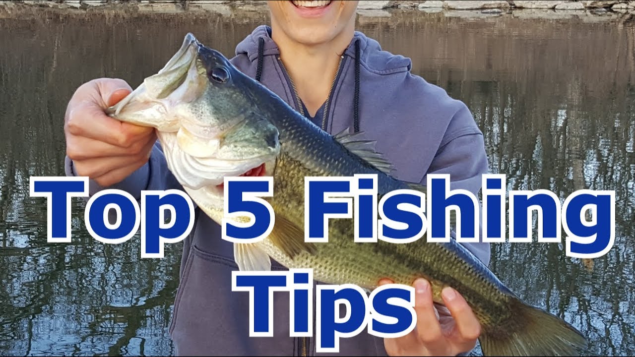 8 Madison Dam Montana Fishing Tips To Catch More