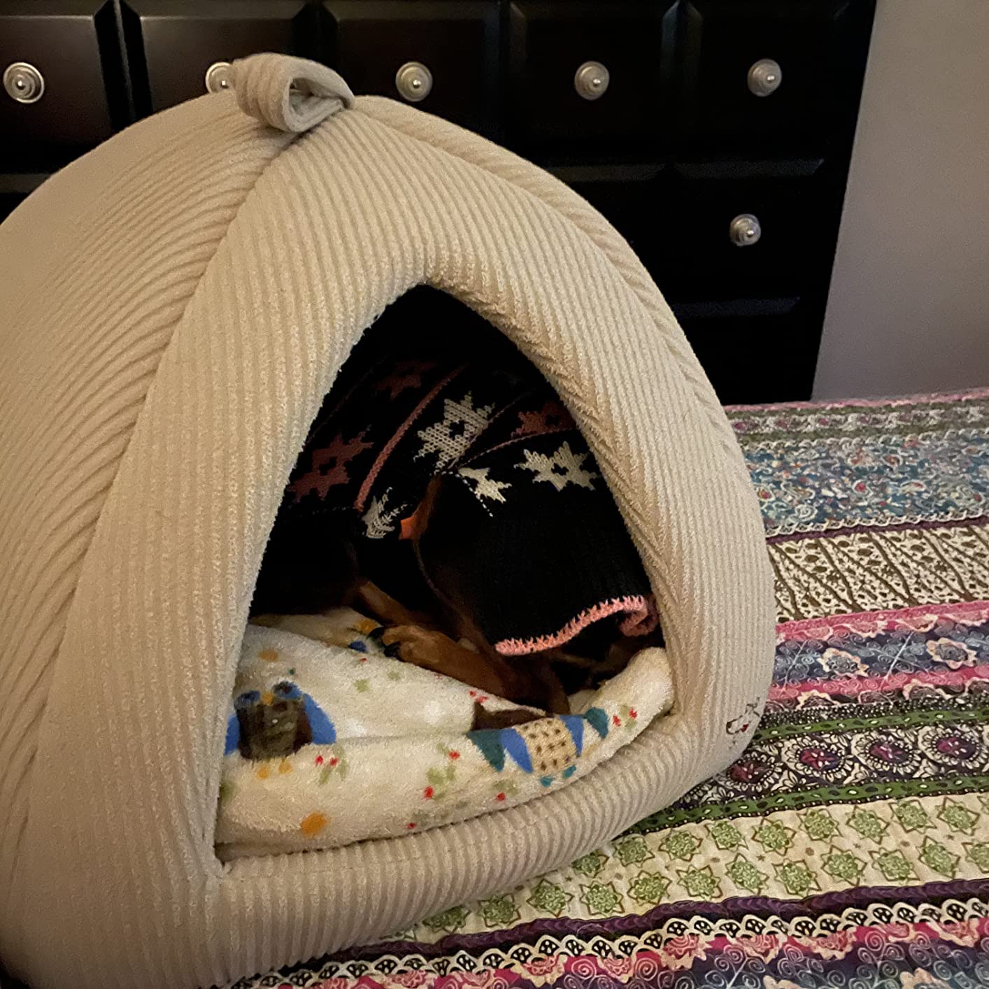 Amazon Com Dog House Indoor 2 In 1 Removable Dog Igloo Bed Washable Amazon Com Dog House Indoor 2 In 1 Removable Dog Igloo Bed Washable