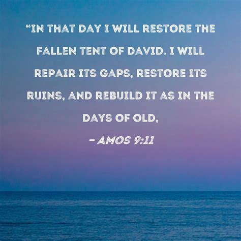 Amos 9 11 13 Bible Verse Explanation Amos 9 11 13 Bible Verse Explanation