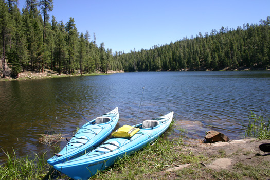 Bear Canyon Lake Guide: Fish Like A Local Bear Canyon Lake Guide: Fish Like A Local