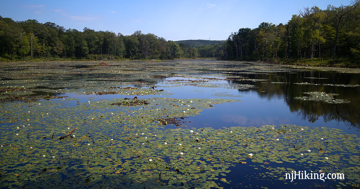Beaver Brook Trail Co: Explore Scenic Hiking Paths