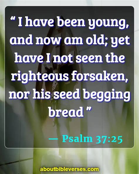 Best 25 Bible Verses About God S Provision Kjv Scripture Best 25 Bible Verses About God S Provision Kjv Scripture