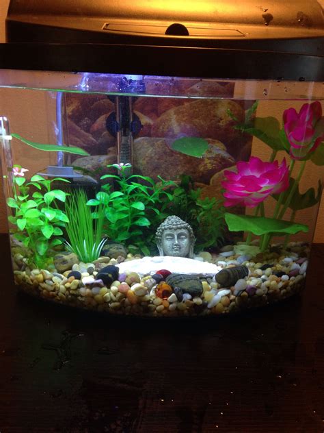 Betta Fish Tank Ideas