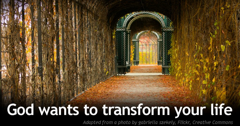 Bible Submission: Transform Your Life With God