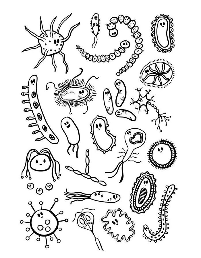 Biology Coloring: Improve Knowledge With Interactive Pages