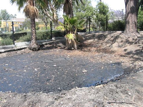 Bitumen In The Bible