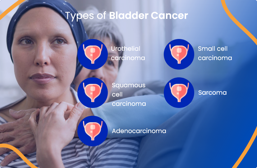 Bladder Cancer Treatment In Dogs