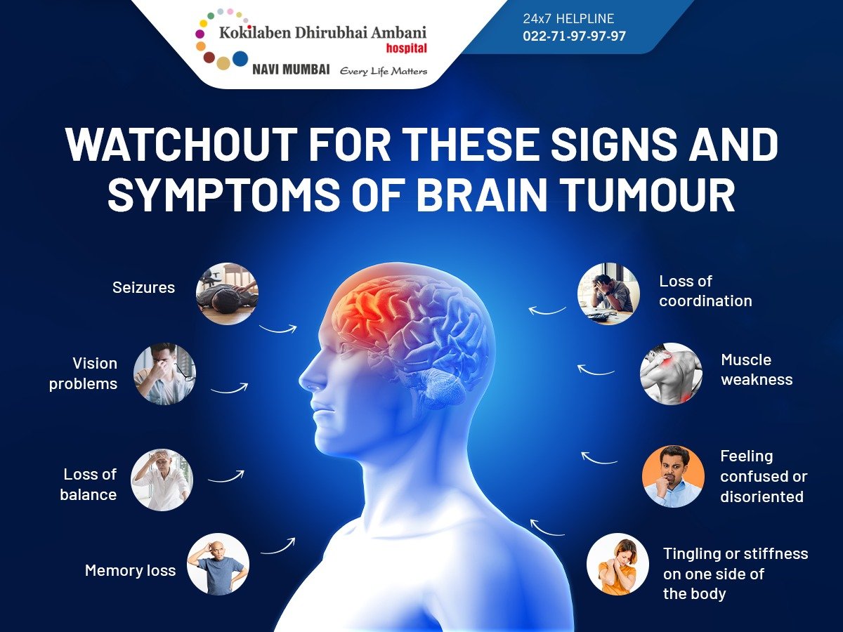 Brain Cancer Symptoms Dogs Brain Cancer Symptoms Dogs