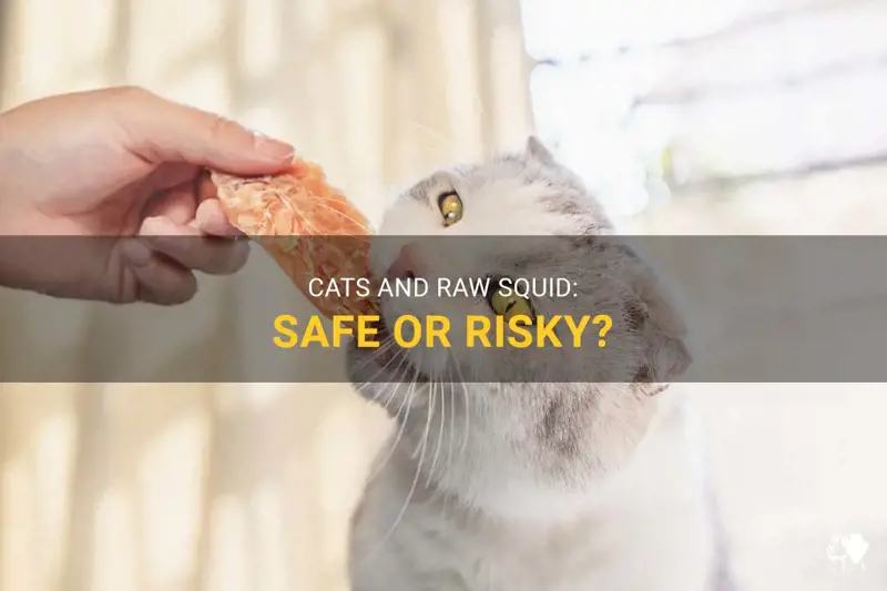 Can U Eat Squid Raw