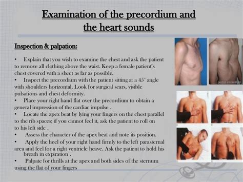 Cardiac Exam I Inspection And Palpation Cardiac Exam I Inspection And Palpation