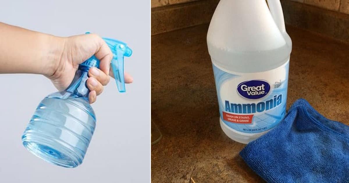 Chemicals That Repel Snakes