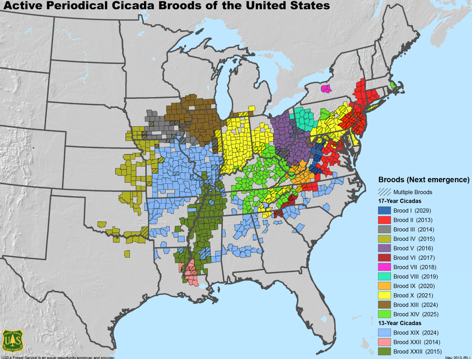 Cicadas 2024: Pennsylvania Emergence Map