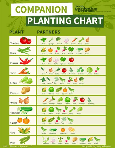 Companion Planting Vegetables Chart Pdf