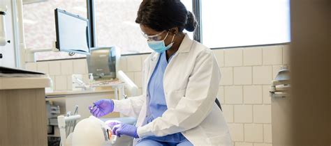 Dental Hygiene Programs In Mn