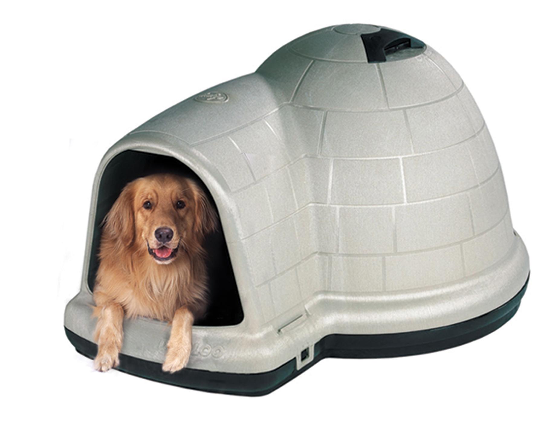 Dog Houses Igloo: Keep Pets Warm Dog Houses Igloo: Keep Pets Warm