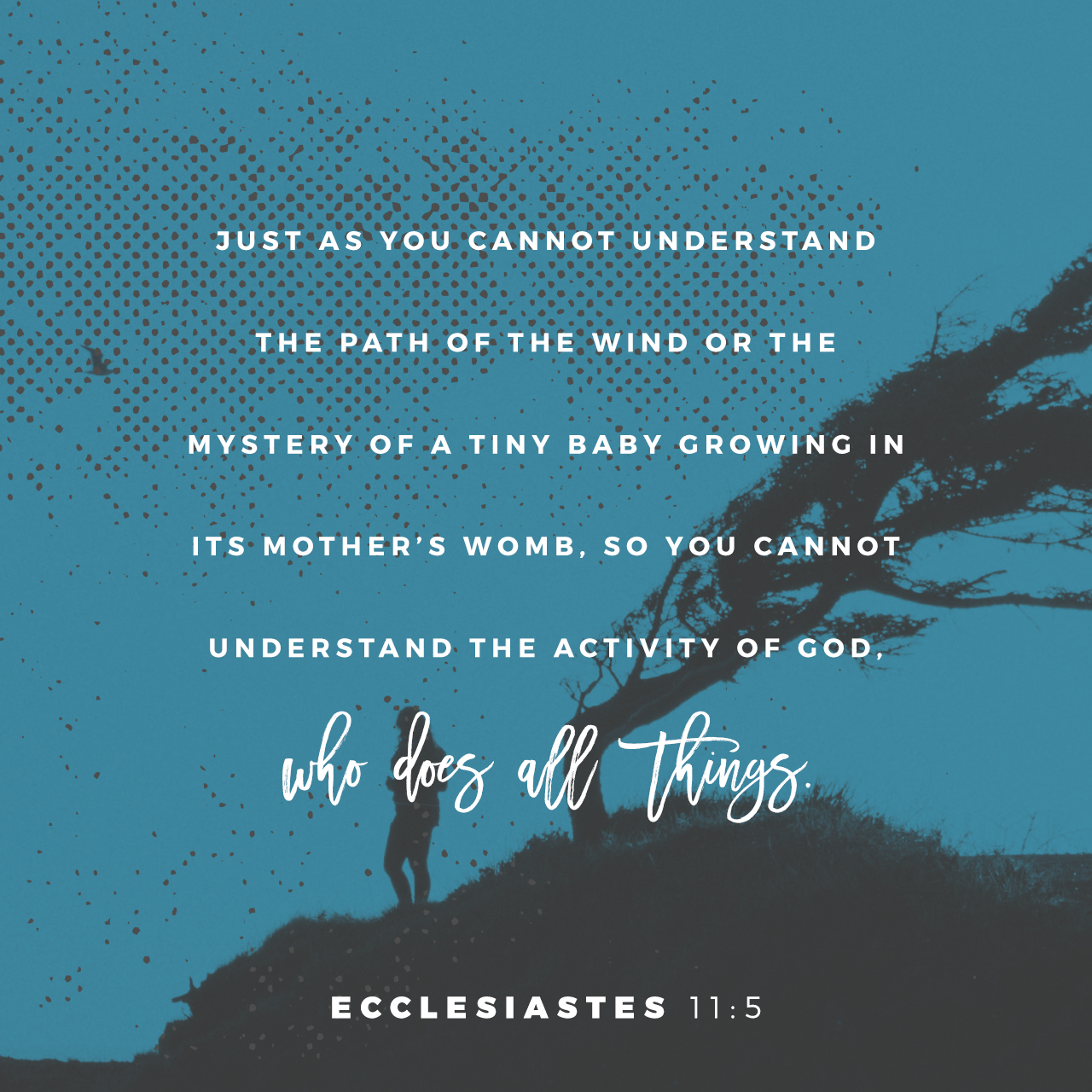 Ecclesiastes 11 Guide: Wisdom For Life