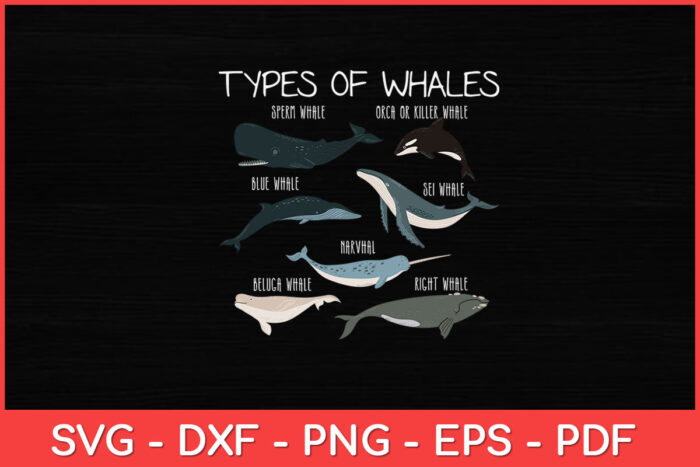 Egglaying Mammals Guide: Types And Facts Egglaying Mammals Guide: Types And Facts